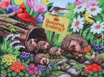 Hedgehog Crossing