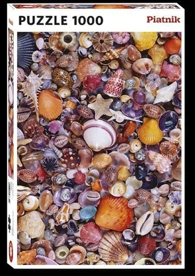Sea Shells