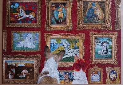 Dog gallery
