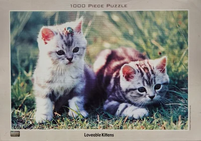 Loveable Kittens