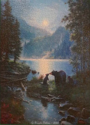 Bear Night