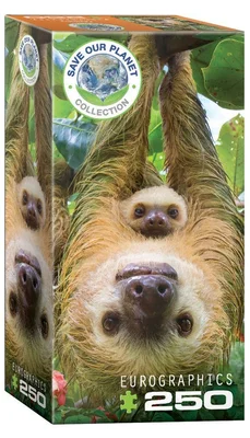 Sloth