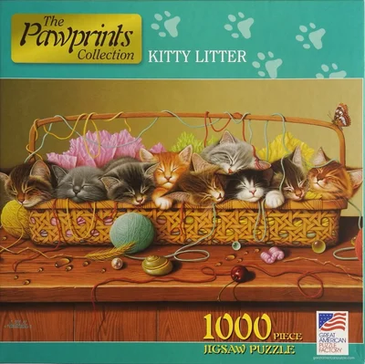 Kitty Litter