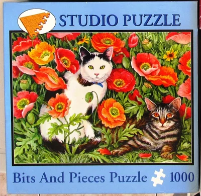 Poppy Cats