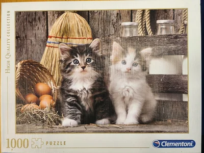 Lovely Kittens
