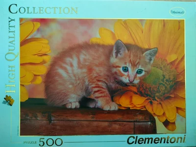 Kitten