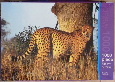 The Wild Cheetah