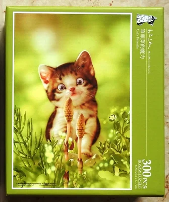 Cat's Favorite