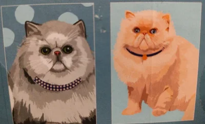 Persian cat