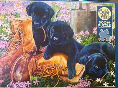 Trouble In The Garden