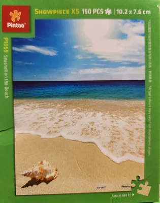 Seashell on the Beach
