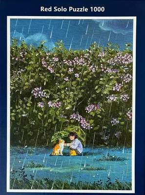 Kitten in the Rain