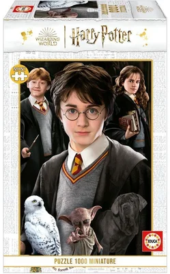 Harry Potter