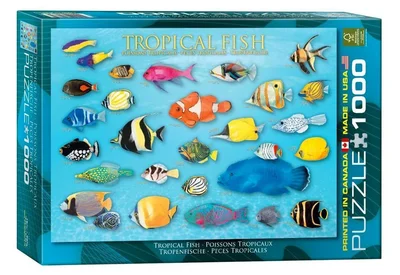 Tropical Fish