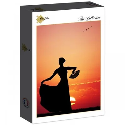 Flamenco at Sunset