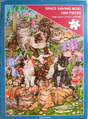 Cats Galore