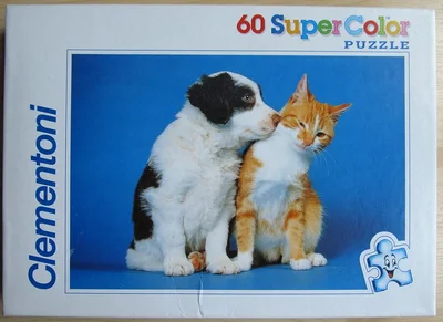 Cat and Dog