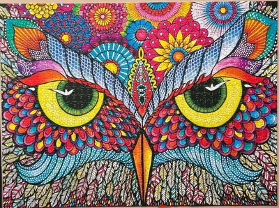 Owl Eyes