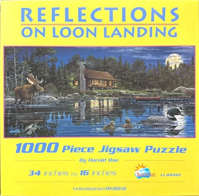 Reflections on Loon Landing
