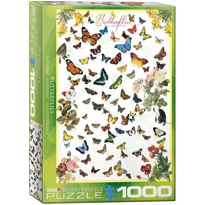 Butterflies
