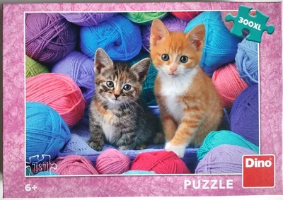 Kittens in Yarn Store