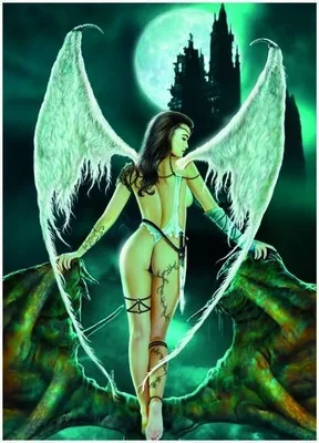 Nocturnal Angel
