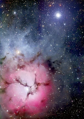 The Trifid Nebula