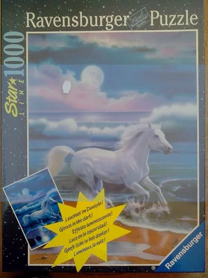 Moonlight Stallion