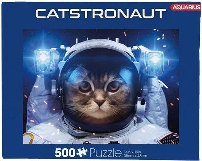 Catstronaut