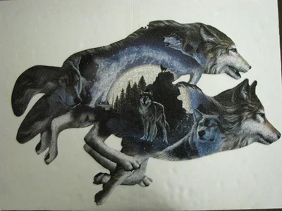 Moonlight Warrior