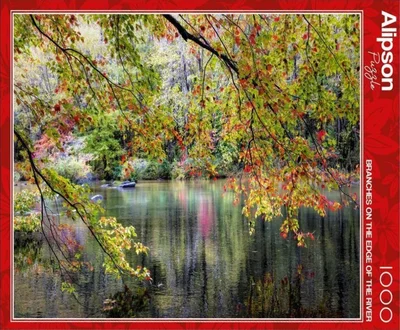 Branches On the Edge of the River