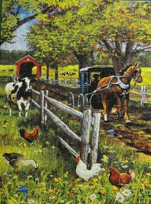 Horse and Buggy