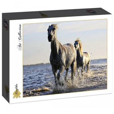 Horses