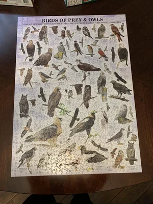 Birds of Prey and Owls
