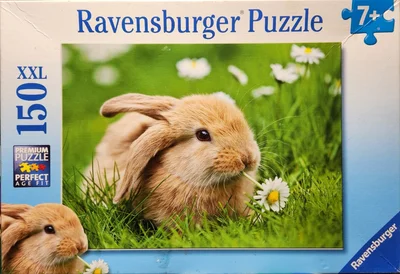Adorable Bunny