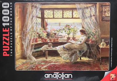 Reading by the Window