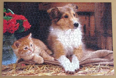 Kitten and Puppy