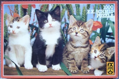 Katzengesellschaft