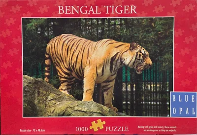 Bengal Tiger