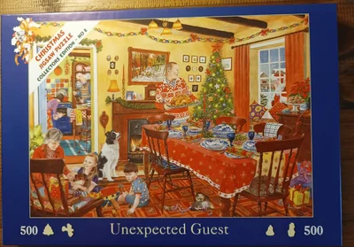 Unexpected Guest