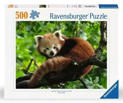 Adorable Panda roux