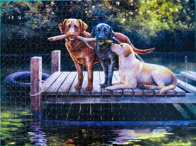 Dog Days