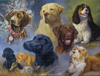 Treasured Friends
