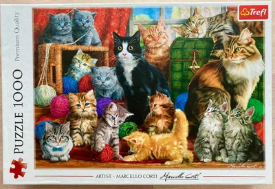 Feline Meeting