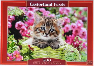 Kitten in Flower Garden