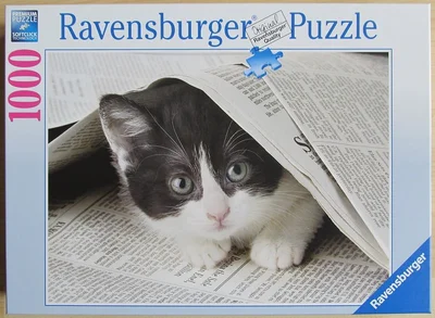 Neugieriges Kätzchen