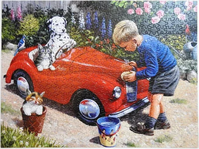 Cleaning the Car