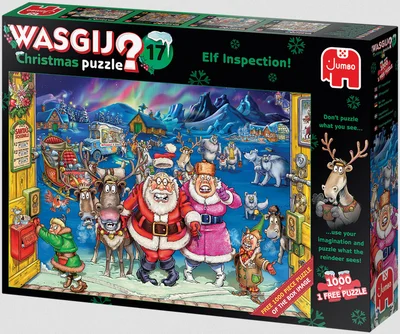 17 - Elf Inspection