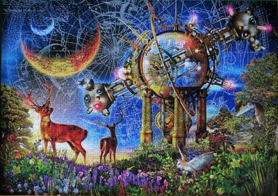 Stargazer