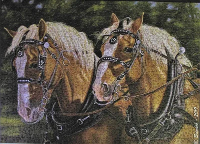 Buck and Babe